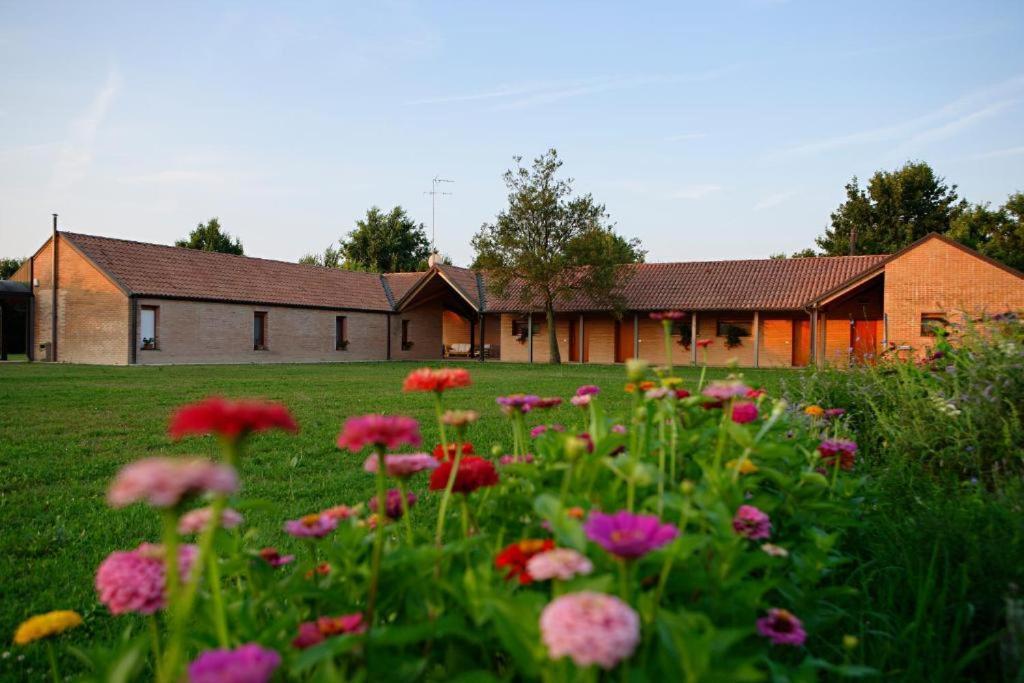 Вілла Relais Agrituristico Ormesani Сан-Либерале Екстер'єр фото